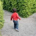 Summer Tax Deduction
