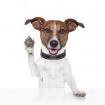 2013 Tax FOrms 5 Reasons You DOn’t Need Them