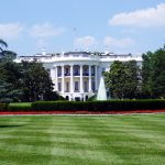 stimulus check and recovery rebate credit