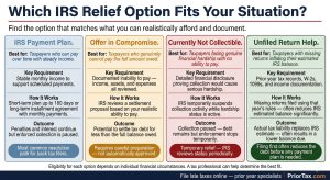 Four-panel comparison card showing IRS relief options for back tax filers: payment plan for taxpayers who can pay over time, Offer in Compromise for taxpayers who cannot pay the full balance, Currently Not Collectible status for taxpayers facing financial hardship with collection suspended, and unfiled return help for taxpayers whose missing returns are inflating their IRS estimated balance