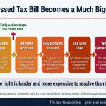 irs-relief-options-payment-plan-offer-compromise-currently-not-collectible-back-taxes