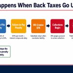 file-back-taxes-texas-irs-enforcement-escalation-chain